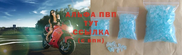 дмт Дмитровск