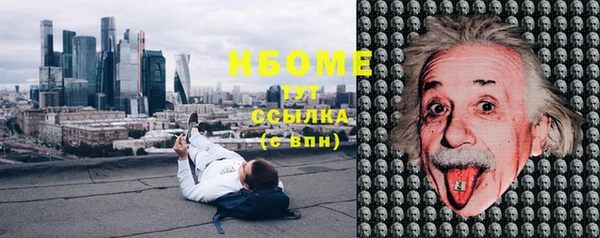 дмт Дмитровск