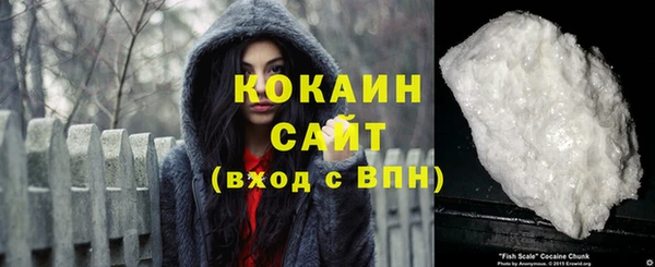 дмт Дмитровск