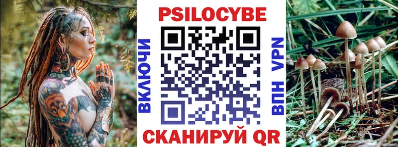 Псилоцибиновые грибы Magic Shrooms  где купить наркоту  Тосно 