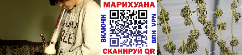 Марихуана сатива  магазин продажи наркотиков  Тосно 